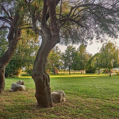 B&B Cascina Dell'Eco Busca Eksteriør bilde